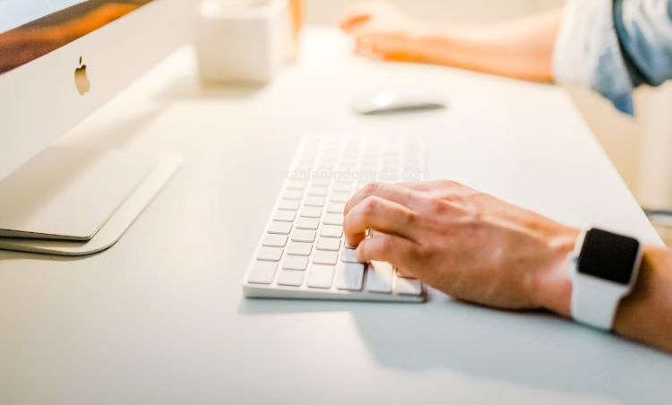 Online Shop, Pertanian, Olshop. Olshop Pertanian Indonesia, Toko Tani, Toko Tani  Terdekat, Pertanian Indonesia